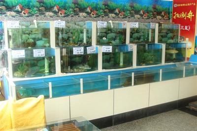 開封市太平洋水族店（開封市太平洋水族店地址） 開封市太平洋水族店（開封市太平洋水族店地址） 全國(guó)水族館企業(yè)名錄