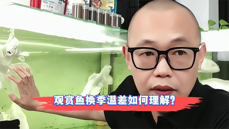 古龍魚多久喂一次食物？