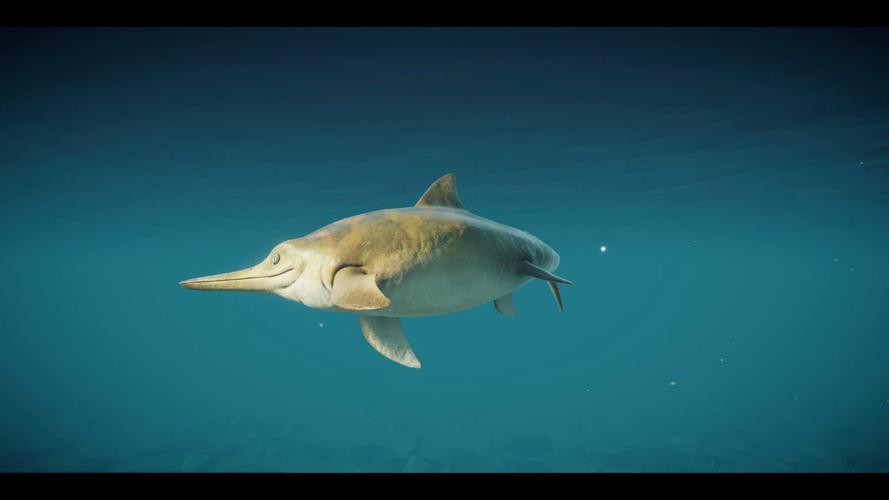 恐龍魚兇猛嗎圖片