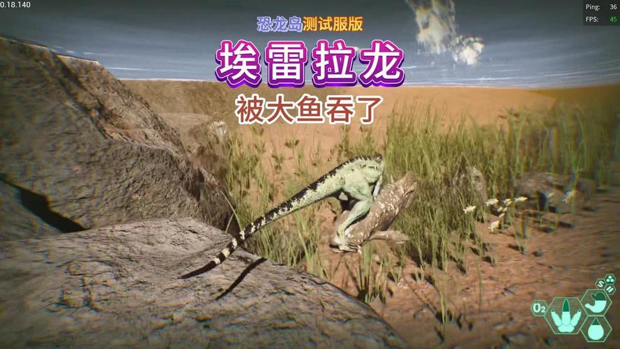 恐龍魚兇猛嗎圖片