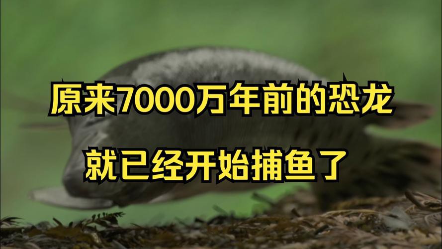 恐龍魚兇猛嗎圖片