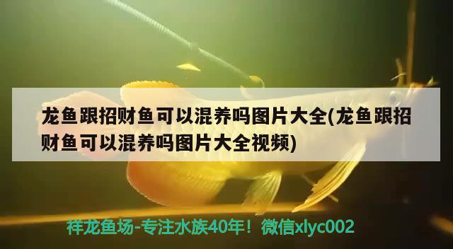 哈尔滨趣之乐网络科技有限公司（哈尔滨趣之乐网络科技有限公司怎么样）