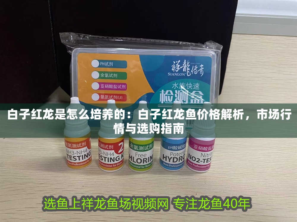 白子紅龍是怎么培養(yǎng)的：白子紅龍魚價格解析，市場行情與選購指南 白子紅龍是怎么培養(yǎng)的：白子紅龍魚價格解析，市場行情與選購指南 龍魚百科 第1張