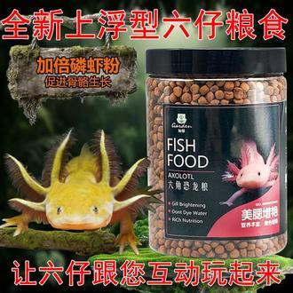 恐龍魚進食視頻大全播放