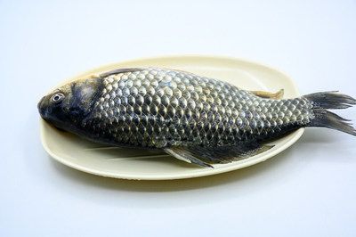 龍魚怎么煮好吃又營養：番茄龍魚的營養保留技巧，香煎黑椒龍魚的健康益處