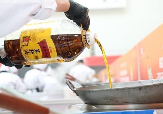 金龍魚一年銷售額（金龍魚一年銷售額下滑原因探究）