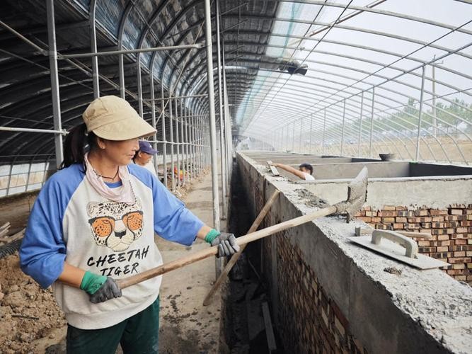 龍魚養殖基地圖片大全 龍魚養殖基地圖片大全 龍魚百科 第27張