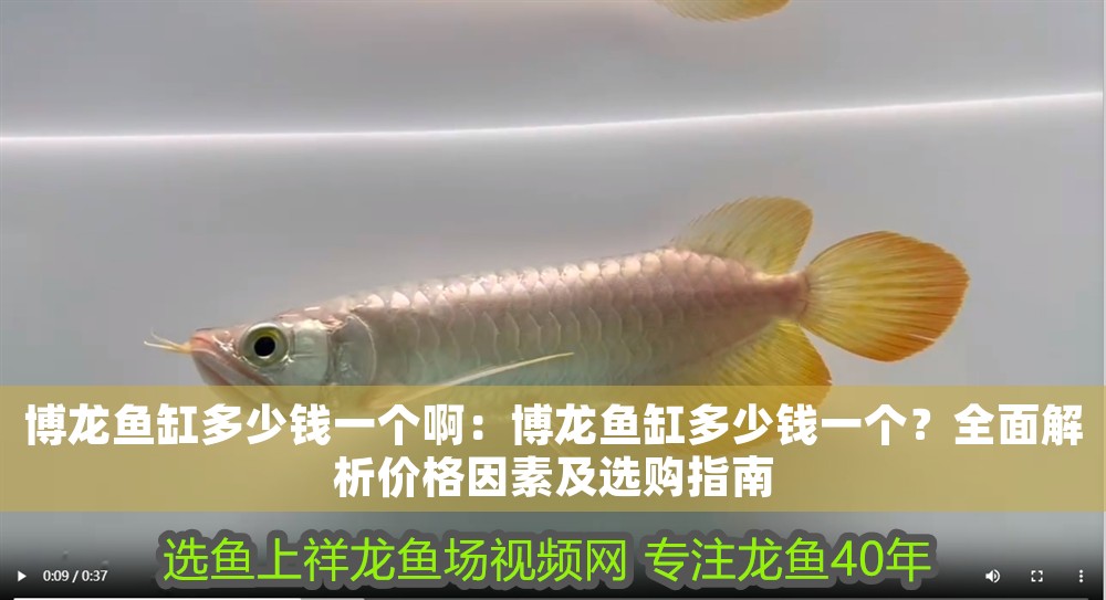博龍魚缸多少錢一個啊:博龍魚缸多少錢一個?全面解析價格因素及選購指南 龍魚百科 第1張 博龍魚缸多少錢一個啊:博龍魚缸多少錢一個?全面解析價格因素及選購指南 博龍魚缸多少錢一個啊:博龍魚缸多少錢一個?全面解析價格因素及選購指南 龍魚百科 第1張