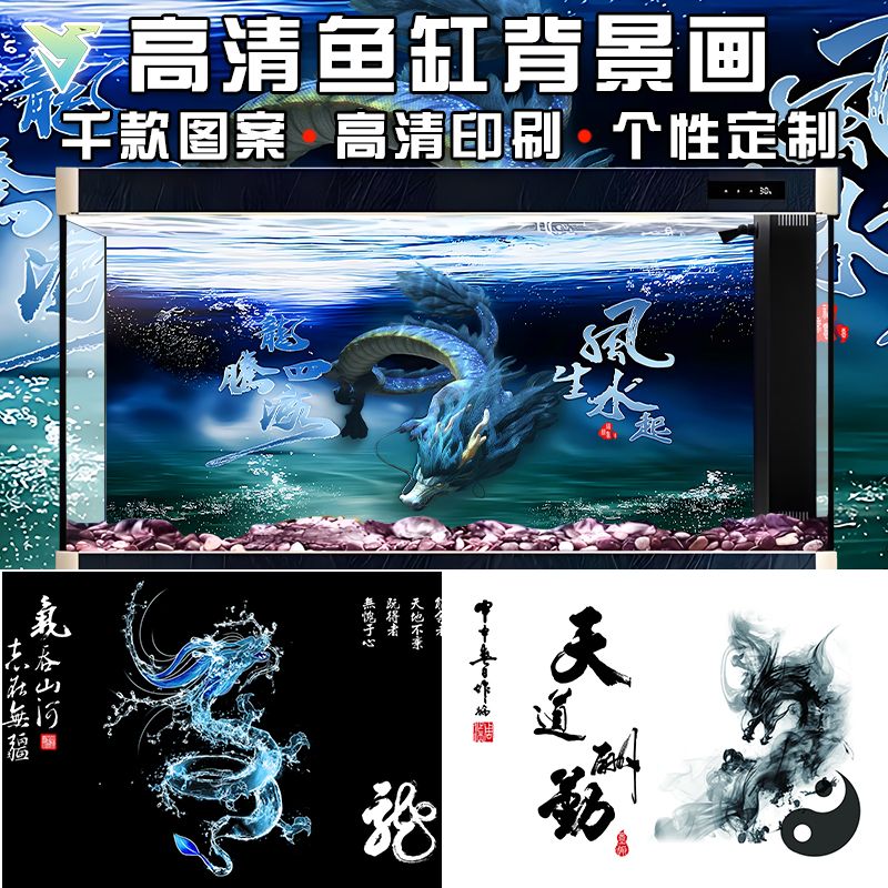 古典龍魚用什么背景顏色好看（關于古典龍魚背景顏色的建議）