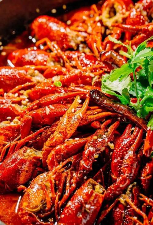 如何找到高清的龍蝦圖片？