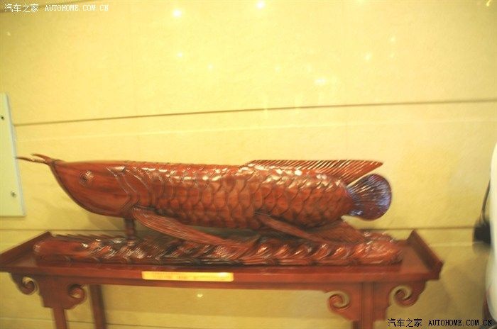 金龍魚養(yǎng)生會所在哪里(北京養(yǎng)生會所排名) 龍魚百科 第1張 金龍魚養(yǎng)生會所在哪里(北京養(yǎng)生會所排名) 金龍魚養(yǎng)生會所在哪里(北京養(yǎng)生會所排名) 龍魚百科 第1張