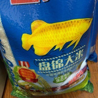 金龍魚白點：金魚身上有白點怎么辦？ 金龍魚白點：金魚身上有白點怎么辦？ 龍魚百科 第3張