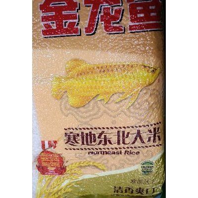 金龍魚白點：金魚身上有白點怎么辦？ 金龍魚白點：金魚身上有白點怎么辦？ 龍魚百科 第6張