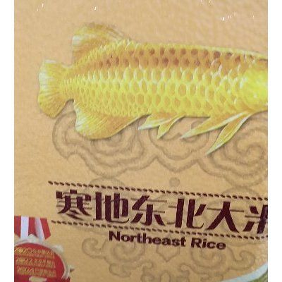 金龍魚白點：金魚身上有白點怎么辦？ 金龍魚白點：金魚身上有白點怎么辦？ 龍魚百科 第5張