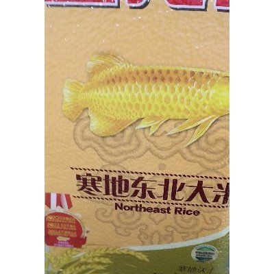 金龍魚白點：金魚身上有白點怎么辦？ 金龍魚白點：金魚身上有白點怎么辦？ 龍魚百科 第4張