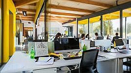 參股金龍魚的上市公司