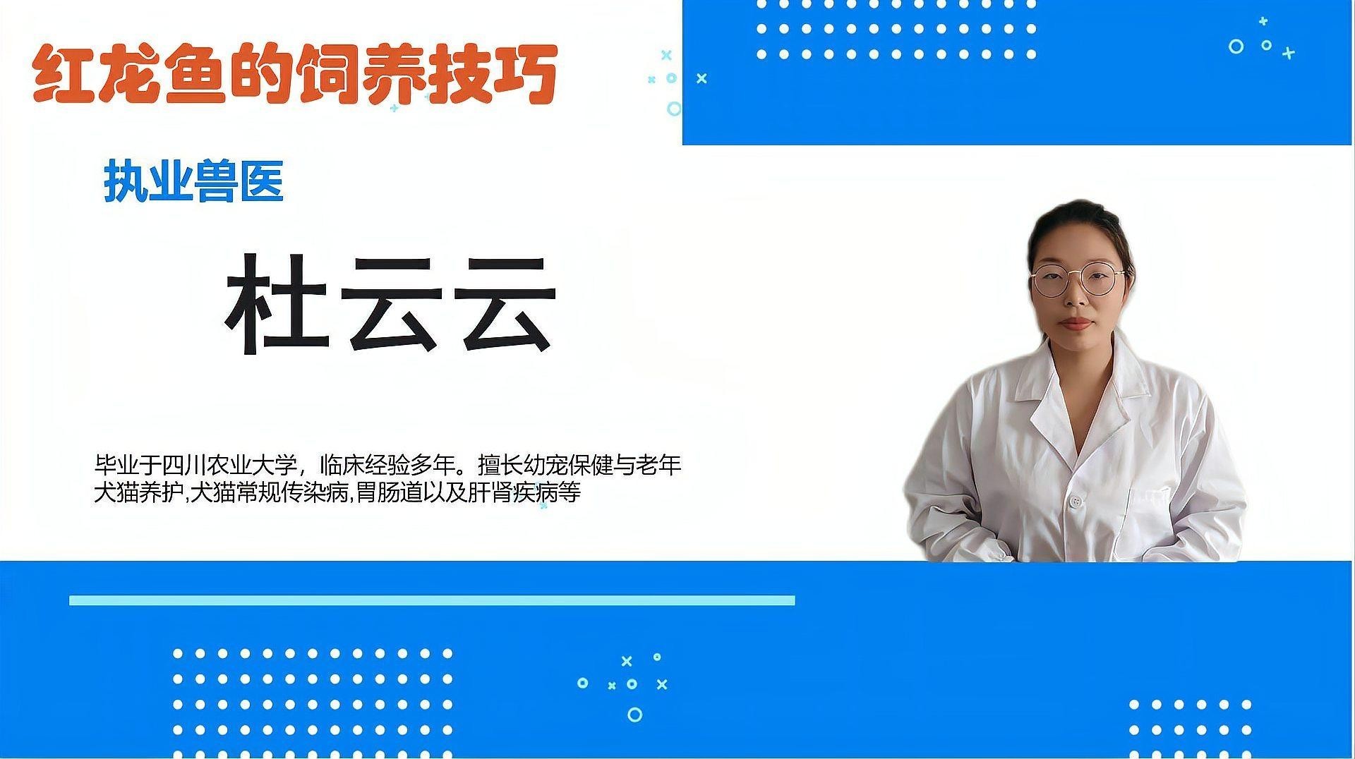 黑龍魚和紅龍魚哪個貴些 黑龍魚和紅龍魚哪個貴些 龍魚百科 第4張