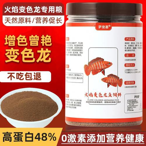 紅點變色龍魚圖片