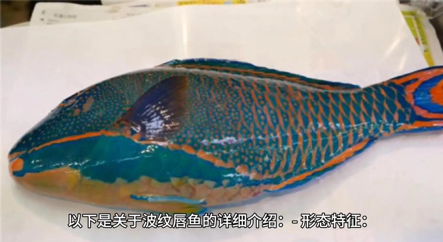 紅點變色龍魚圖片