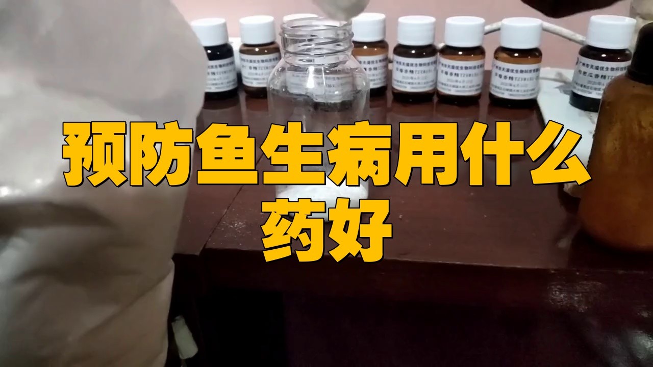 龍魚有病了用什么藥 龍魚有病了用什么藥 龍魚百科 第6張
