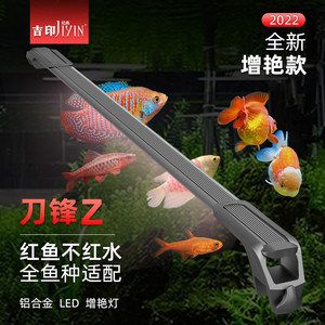 紅龍魚批發市場電話號碼