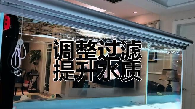 龍魚缸過濾系統(tǒng)的最佳設(shè)置