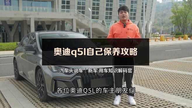 紅龍旗紅色內飾如何保養？ 紅龍旗紅色內飾如何保養？ 龍魚百科 第1張