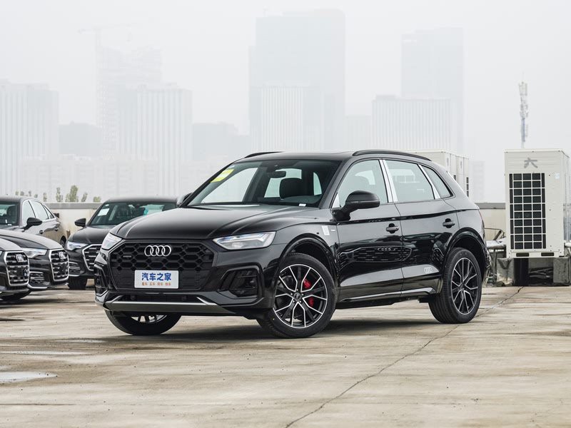 紅龍旗紅色內飾如何保養？ 紅龍旗紅色內飾如何保養？ 龍魚百科 第13張