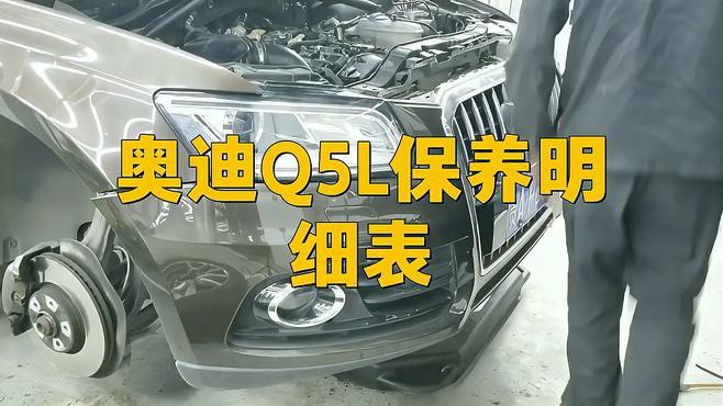 紅龍旗紅色內飾如何保養？ 紅龍旗紅色內飾如何保養？ 龍魚百科 第5張