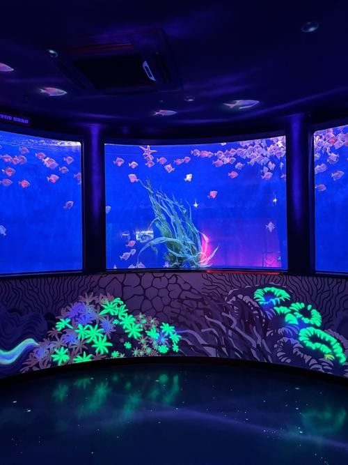 龍魚之家水族館