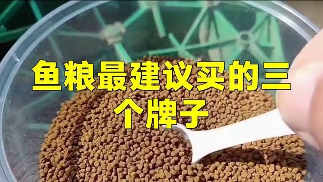 龍魚飼料品牌