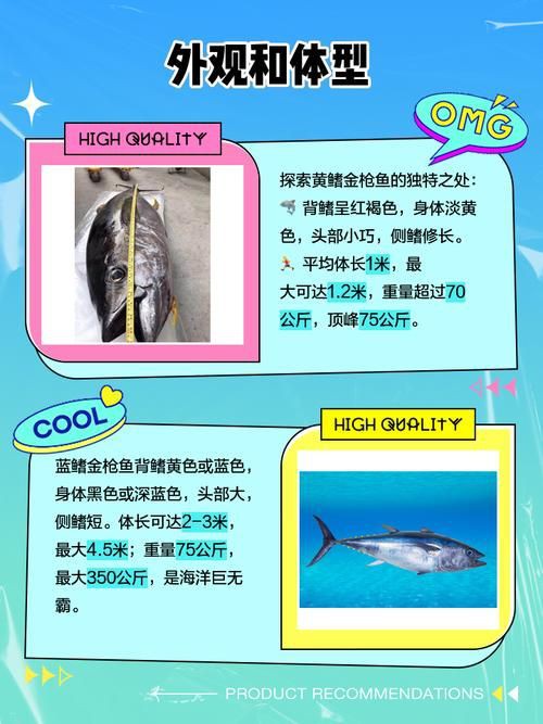 藍鰭和黃鰭金槍魚圖片 藍鰭和黃鰭金槍魚圖片 龍魚百科 第14張
