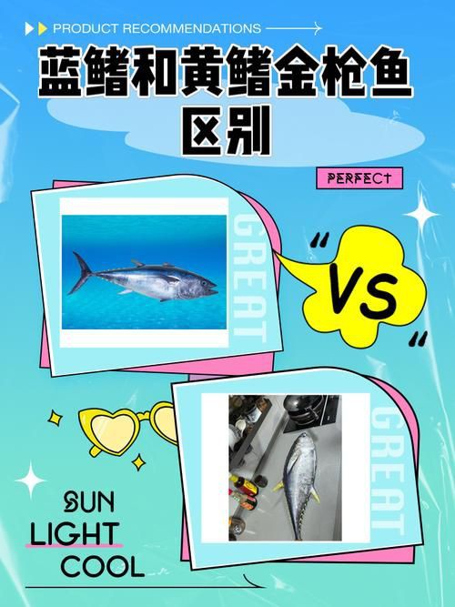 藍鰭和黃鰭金槍魚圖片 藍鰭和黃鰭金槍魚圖片 龍魚百科 第11張