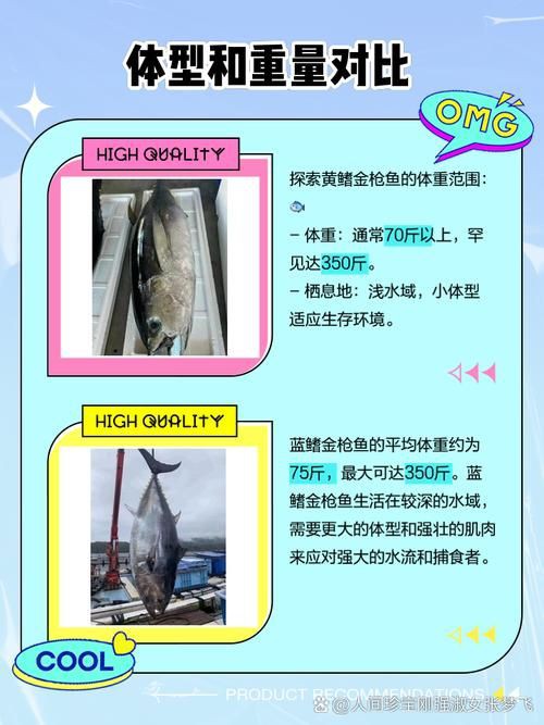 藍鰭和黃鰭金槍魚圖片 藍鰭和黃鰭金槍魚圖片 龍魚百科 第17張