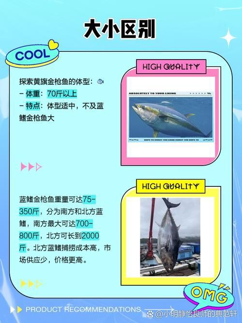藍鰭和黃鰭金槍魚圖片 藍鰭和黃鰭金槍魚圖片 龍魚百科 第25張