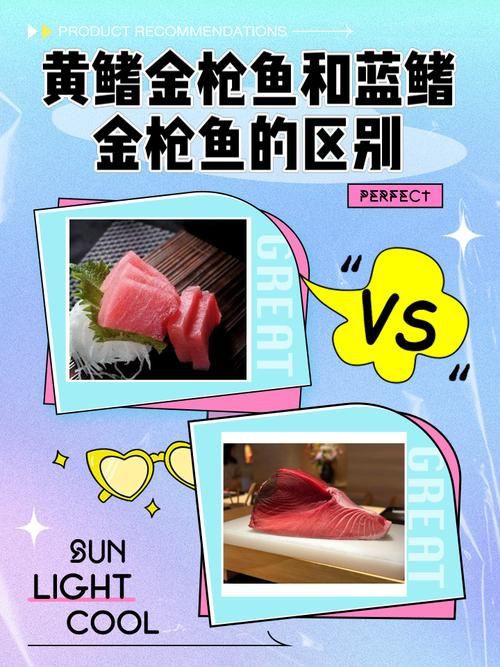 藍鰭和黃鰭金槍魚圖片 藍鰭和黃鰭金槍魚圖片 龍魚百科 第3張