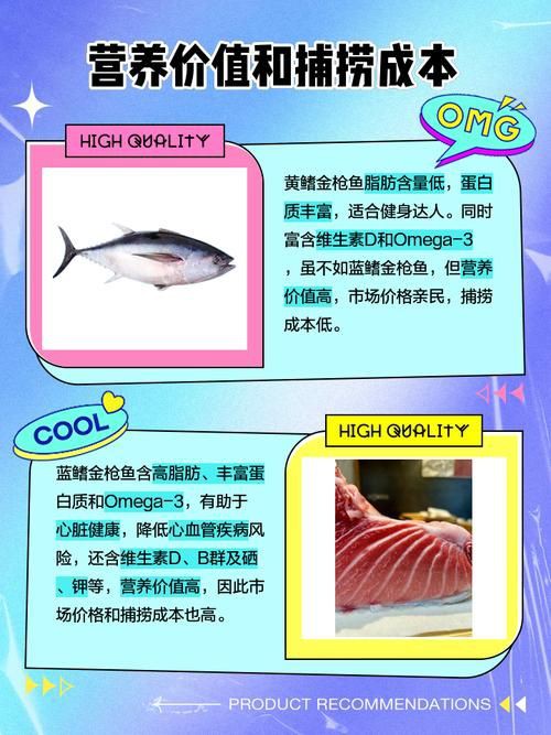 藍鰭和黃鰭金槍魚圖片 藍鰭和黃鰭金槍魚圖片 龍魚百科 第20張