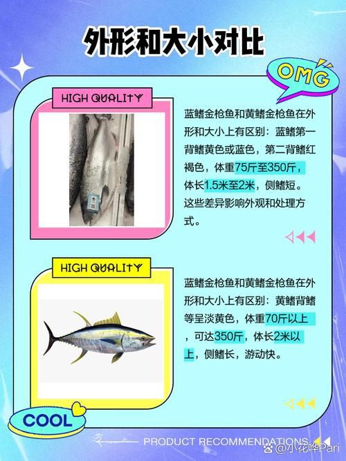 藍鰭和黃鰭金槍魚圖片 藍鰭和黃鰭金槍魚圖片 龍魚百科 第9張