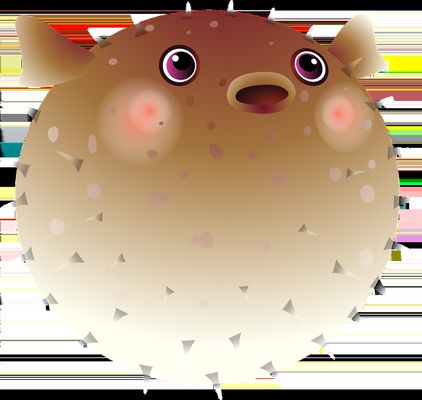 龍魚褪色后多久能恢復顏色呢：龍魚褪色后恢復顏色的時間 龍魚褪色后多久能恢復顏色呢：龍魚褪色后恢復顏色的時間 龍魚百科 第1張