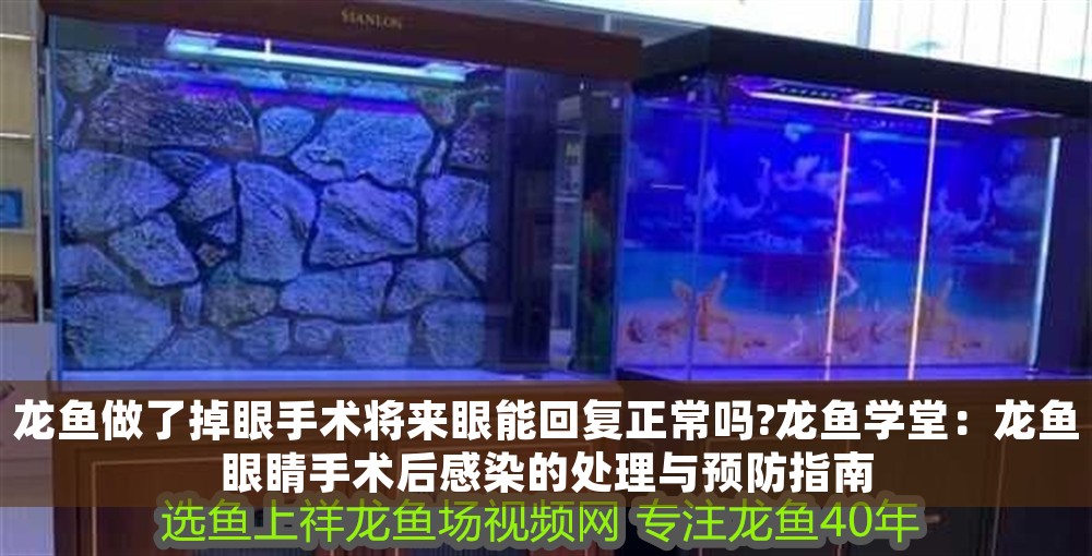 龍魚做了掉眼手術將來眼能回復正常嗎?龍魚學堂：龍魚眼睛手術后感染的處理與預防指南