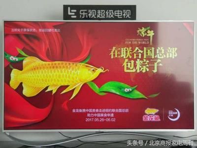 金龍魚可以吃海魚嗎：金龍魚可以吃海魚嗎，