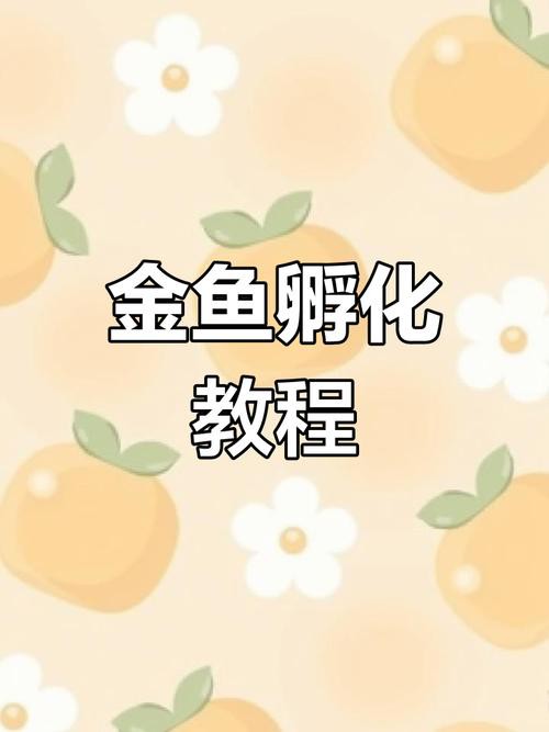 金龍魚的成長過程圖解圖片