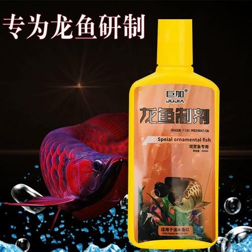 銀龍魚鱗片掉了