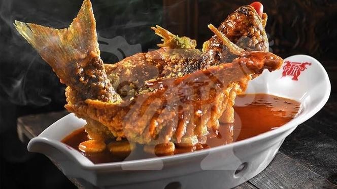 飛龍魚圖片