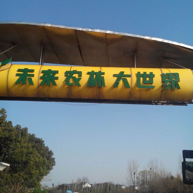 蘇州哪里有賣龍魚的地方啊視頻