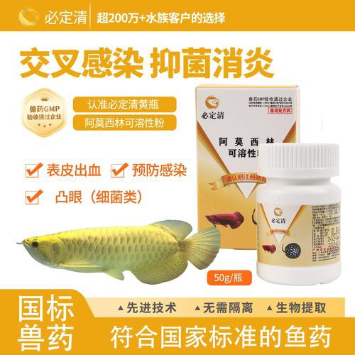 養(yǎng)龍魚放什么藥水最好