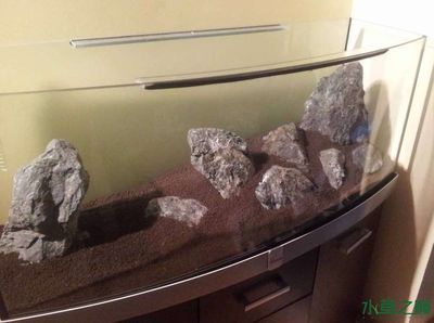 養龍魚魚缸底下放石子可以嗎？：養龍魚時，在魚缸底下放置石子是否可行