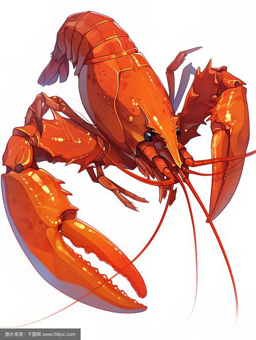 有沒有高清的小龍蝦壁紙？