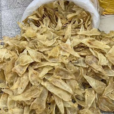 廣州金龍魚批發(fā)價格多少錢一只