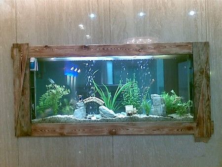 魚缸魚養(yǎng)幾條比較好風(fēng)水圖片（魚缸養(yǎng)魚風(fēng)水布局技巧）